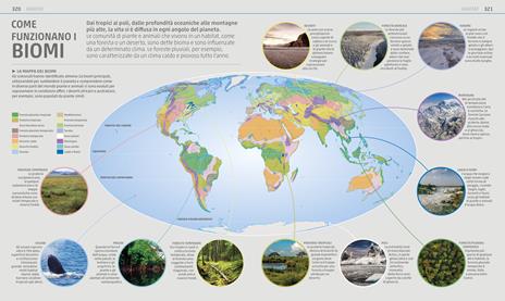 Explanatorium della natura. Ediz. a colori - 13
