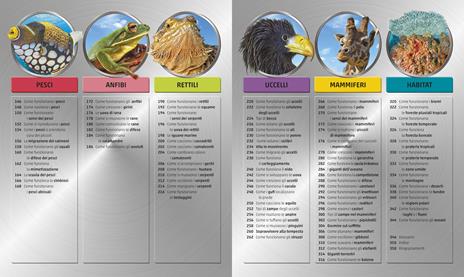 Explanatorium della natura. Ediz. a colori - 3