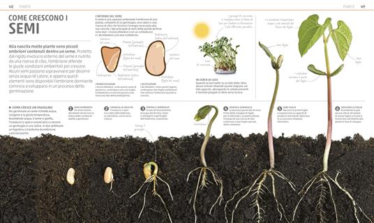 Explanatorium della natura. Ediz. a colori - 4