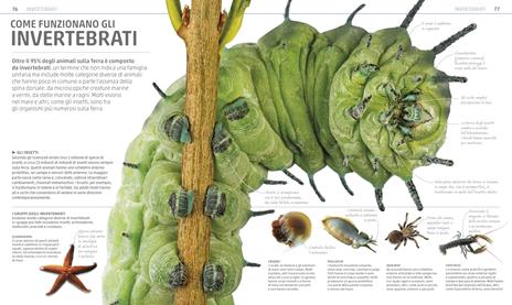 Explanatorium della natura. Ediz. a colori - 7