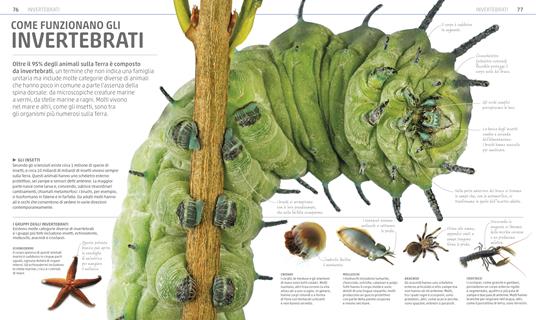 Explanatorium della natura. Ediz. a colori - 7