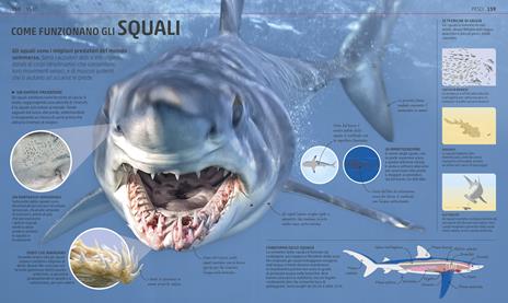 Explanatorium della natura. Ediz. a colori - 9