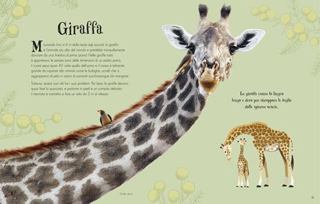 Animali intriganti - Ben Hoare - 4