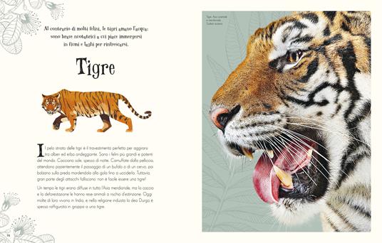 Animali intriganti - Ben Hoare - 5