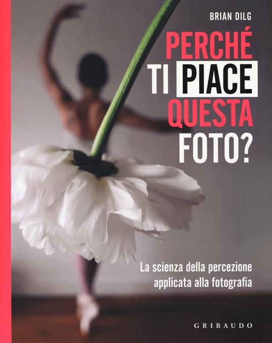 Perché ti piace questa foto? La scienza della percezione applicata alla fotografia. Ediz. illustrata - Brian Dilg - copertina