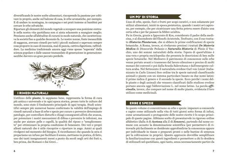 In salute con erbe e spezie. Dall'alloro al rosmarino, tisane, ricette e consigli per il benessere quotidiano - Simona Recanatini - 2