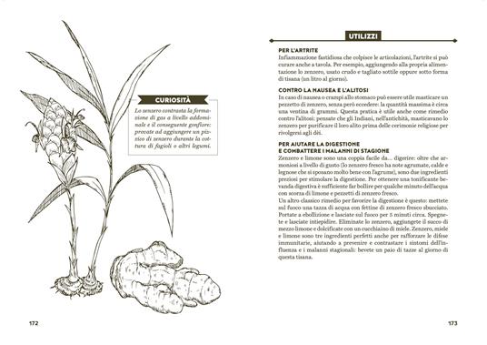 In salute con erbe e spezie. Dall'alloro al rosmarino, tisane, ricette e consigli per il benessere quotidiano - Simona Recanatini - 7