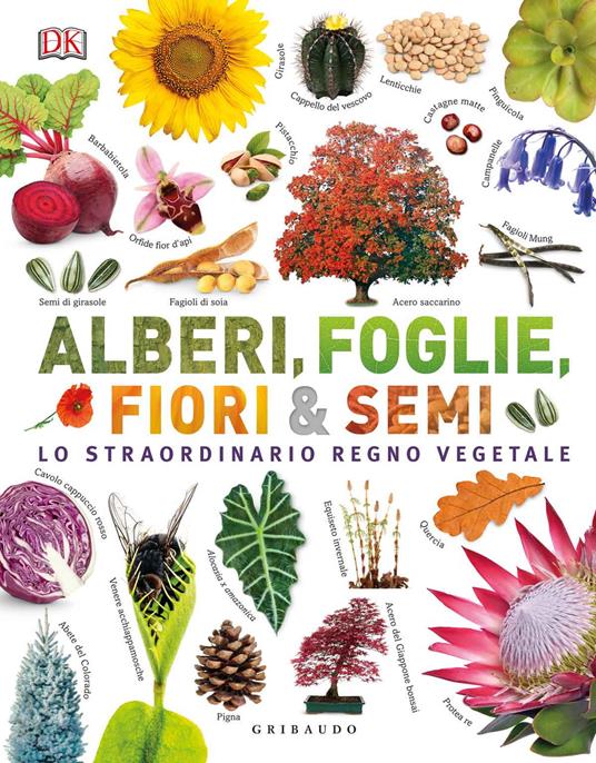 Alberi, foglie, fiori & semi. Lo straordinario regno vegetale. Ediz. illustrata - copertina