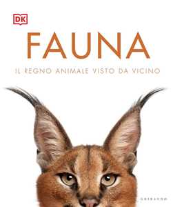 Libro Fauna. Il regno animale visto da vicino. Ediz. illustrata 