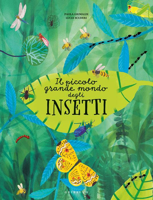 Il piccolo grande mondo degli insetti - Paola Grimaldi,Lucia Scuderi - copertina