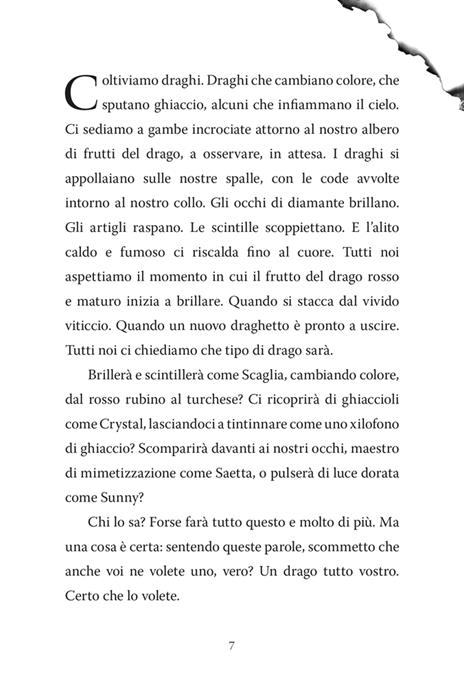 Il ragazzo che volava con i draghi - Andy Shepherd - 6