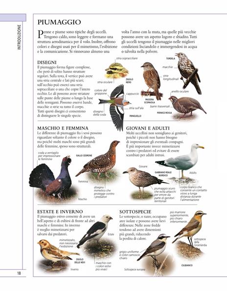 Il libro completo degli uccelli d'Europa. Ediz. illustrata - Rob Hume - 4