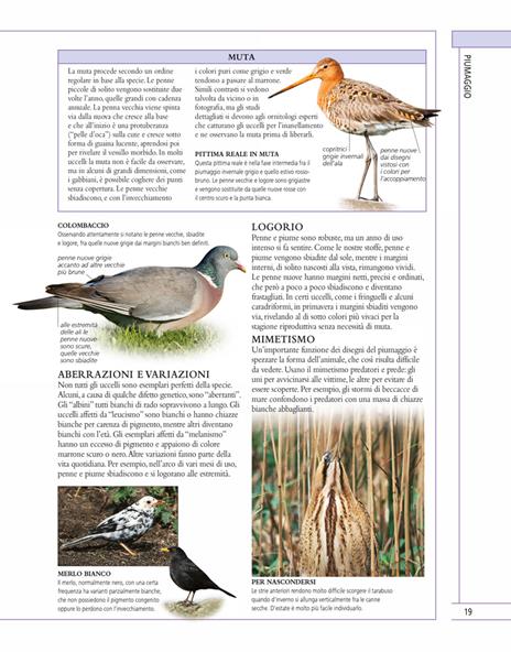 Il libro completo degli uccelli d'Europa. Ediz. illustrata - Rob Hume - 5