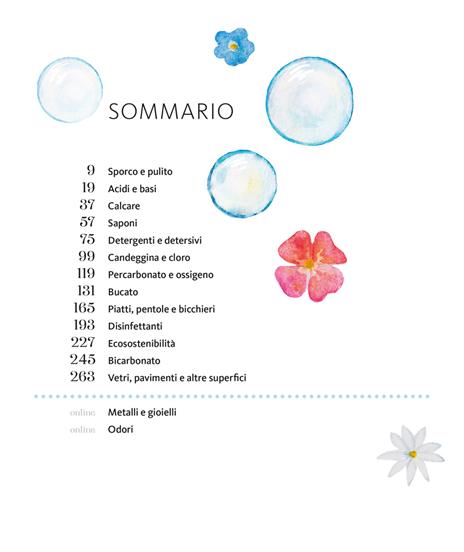 La scienza delle pulizie. La chimica del detersivo e della candeggina, e le bufale sul bicarbonato - Dario Bressanini - 2