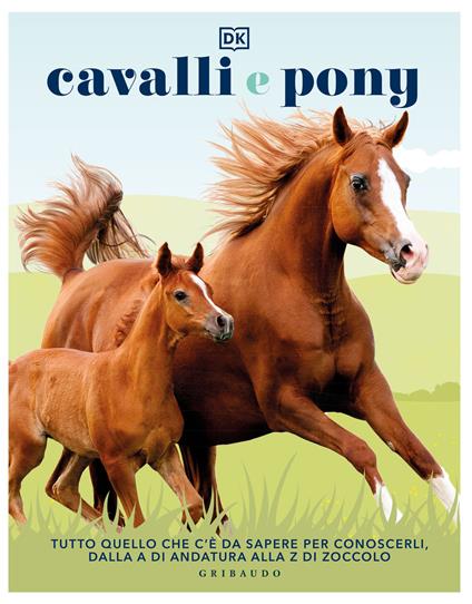 Cavalli e pony. Ediz. illustrata - copertina