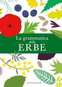 Libro La grammatica delle erbe Caz Hildebrand