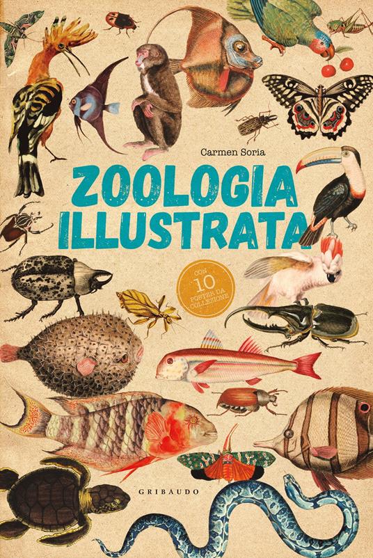 Zoologia illustrata. Con 10 poster - Carmen Soria - copertina