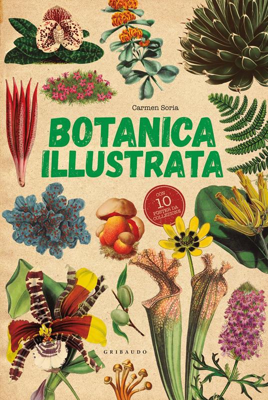 Botanica illustrata. Con 10 poster - Carmen Soria - copertina