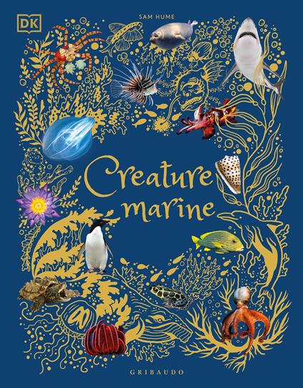 Creature marine. Ediz. a colori - Sam Hume - copertina
