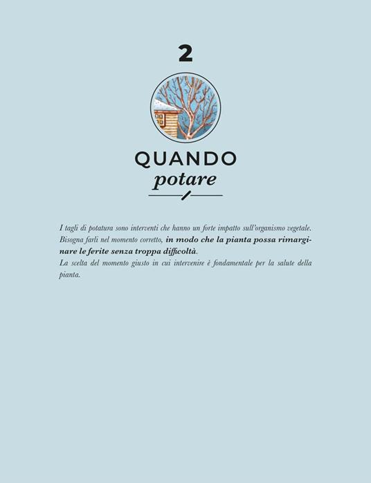 Potatura facile. Il manuale illustrato di «Orto da coltivare» sugli alberi da frutto - Matteo Cereda,Pietro Isolan - 5