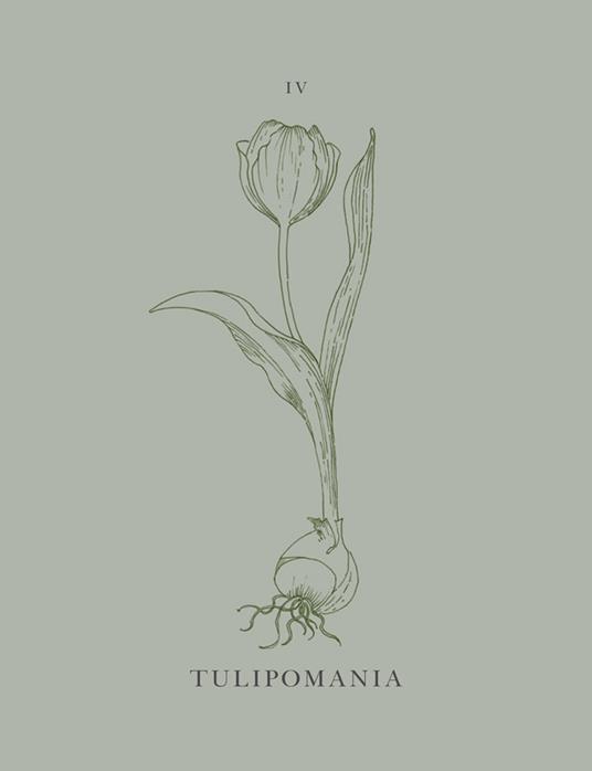 Bulbomania. Scienza e pratica del bulbo - Simonetta Chiarugi,Christian Shejbal - 10
