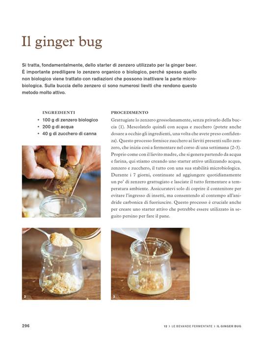 Il grande libro della fermentazione. Esplorazioni nei sapori segreti dei microrganismi - Martino Beria - 8