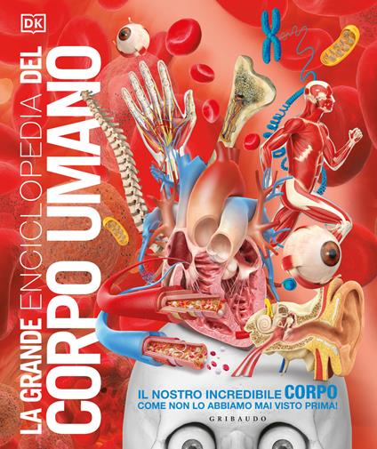 La grande enciclopedia del corpo umano - copertina