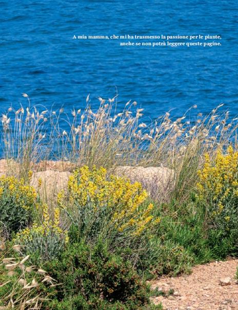 Giardini sostenibili. Progettare, realizzare e mantenere spazi verdi a basso consumo idrico - Francesco Fedelfio - 2