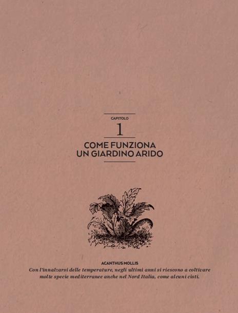 Giardini sostenibili. Progettare, realizzare e mantenere spazi verdi a basso consumo idrico - Francesco Fedelfio - 4