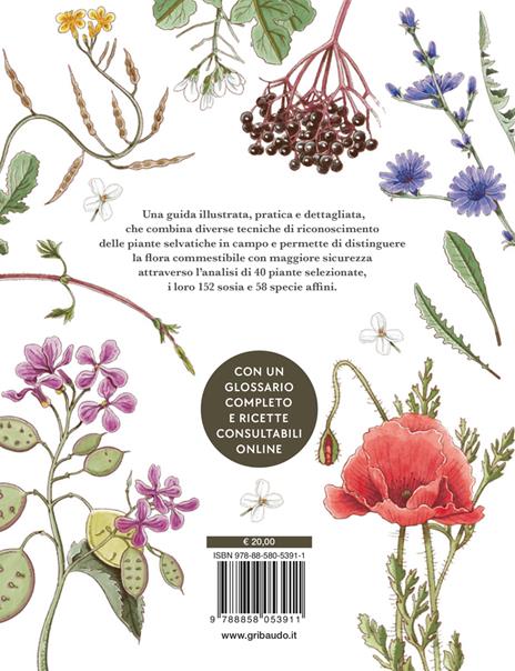 Erbe spontanee. Riconoscerle, raccoglierle e conservarle - Wateki Taliana Tobert,Francesca Della Giovampaola,Filippo Bellantoni - 11