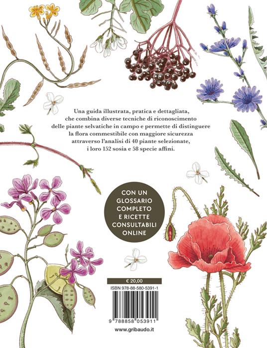 Erbe spontanee. Riconoscerle, raccoglierle e conservarle - Wateki Taliana Tobert,Francesca Della Giovampaola,Filippo Bellantoni - 11