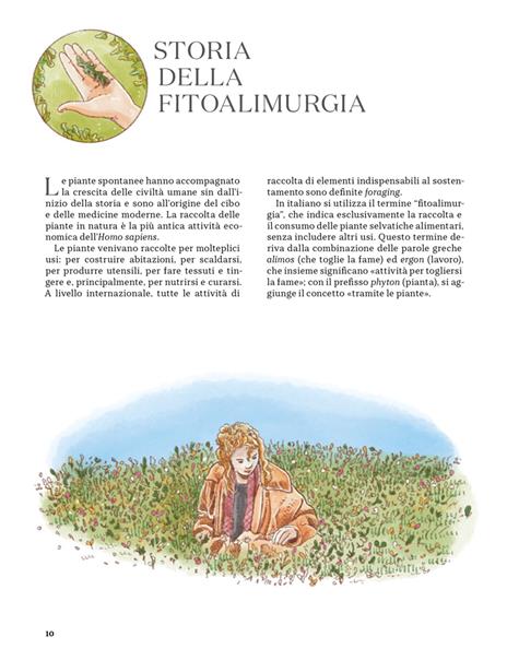 Erbe spontanee. Riconoscerle, raccoglierle e conservarle - Wateki Taliana Tobert,Francesca Della Giovampaola,Filippo Bellantoni - 5