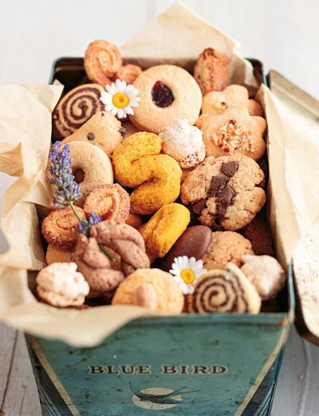 100 biscotti dolci e salati per ogni occasione - Stella Bellomo - 3