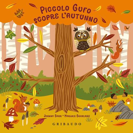 Piccolo Gufo scopre l'autunno. Ediz. a colori - Johnny Barr,Marijke Buurlage - copertina
