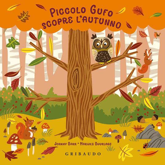 Piccolo Gufo scopre l'autunno. Ediz. a colori - Johnny Barr,Marijke Buurlage - copertina