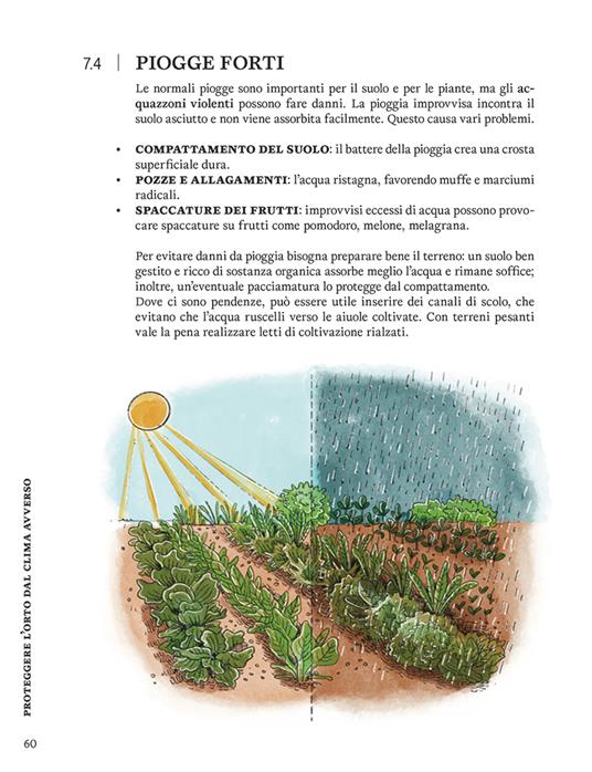La difesa dell'orto. Il manuale di «Orto da coltivare» per proteggere le piante da insetti e malattie - Matteo Cereda,Pietro Isolan,Sara Petrucci - 3