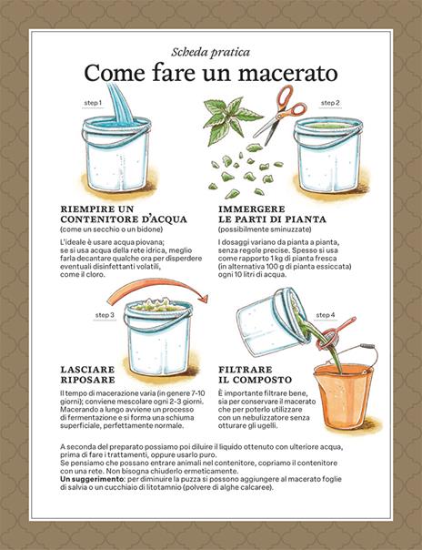 La difesa dell'orto. Il manuale di «Orto da coltivare» per proteggere le piante da insetti e malattie - Matteo Cereda,Pietro Isolan,Sara Petrucci - 4