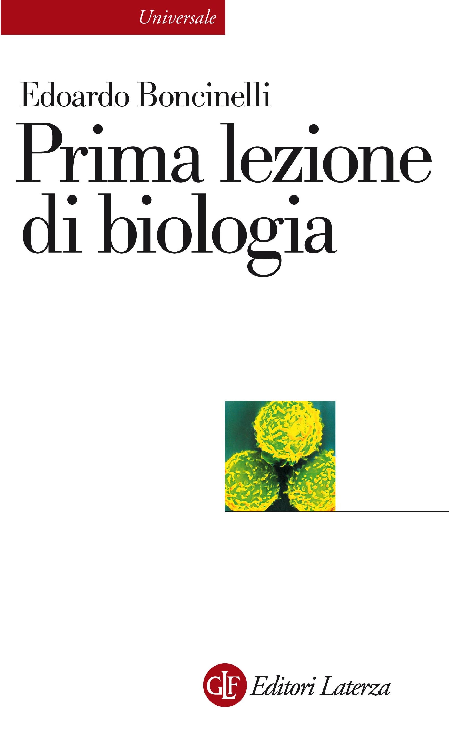 ibs