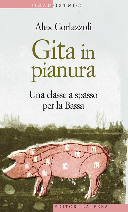 Gita in pianura. Una classe a spasso per la Bassa - Alex Corlazzoli - ebook