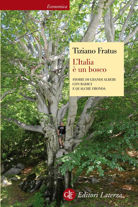 L' Italia è un bosco. Storie di grandi alberi con radici e qualche fronda. Ediz. illustrata - Tiziano Fratus - ebook