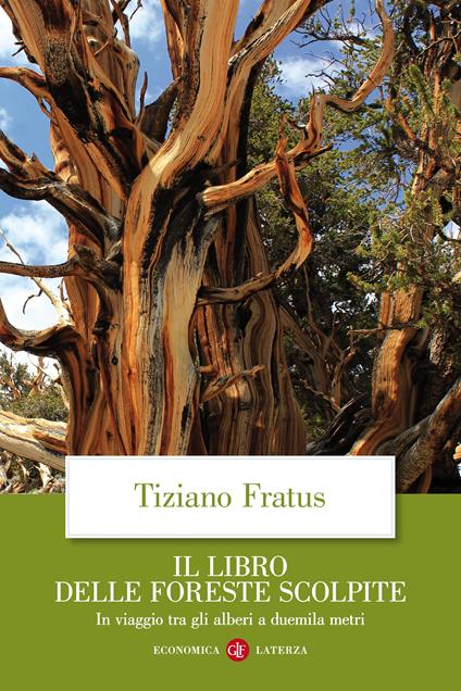 Il libro delle foreste scolpite. In viaggio tra gli alberi a duemila metri - Tiziano Fratus - ebook