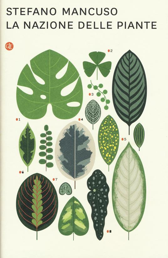 La nazione delle piante - Stefano Mancuso - copertina