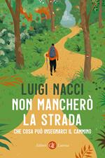 Non mancherò la strada. Che cosa può insegnarci il cammino