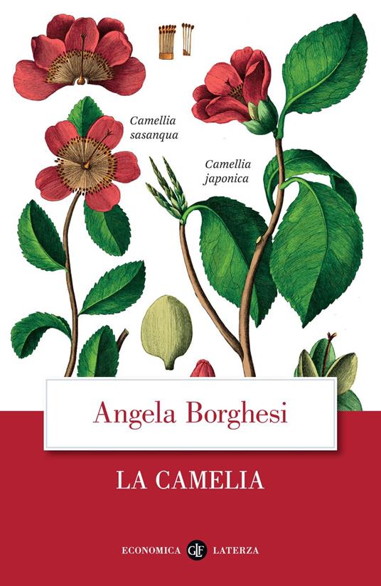 La camelia. La nazione delle piante - Angela Borghesi - ebook