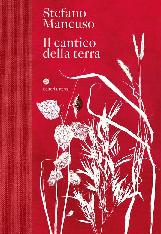 Il cantico della terra - Stefano Mancuso - ebook