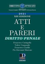Atti e pareri di diritto penale
