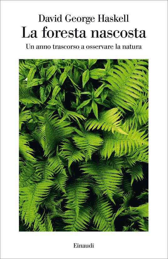 La foresta nascosta. Un anno trascorso a osservare la natura - David George Haskell,Daria Cavallini - ebook