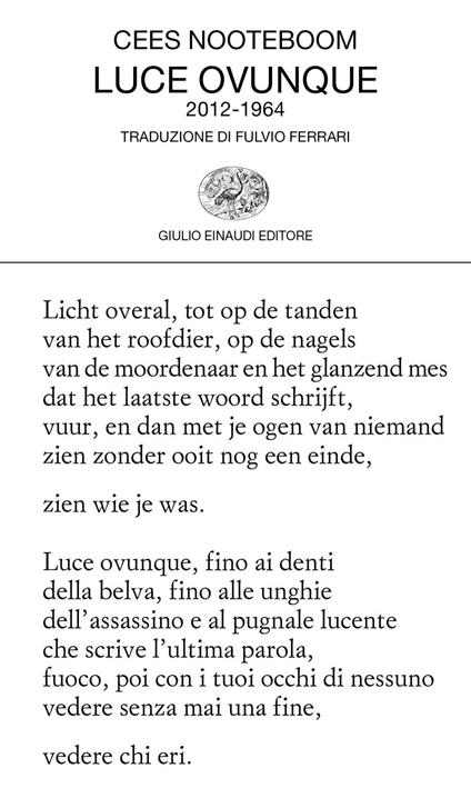 Luce ovunque - Cees Nooteboom,Fulvio Ferrari - ebook