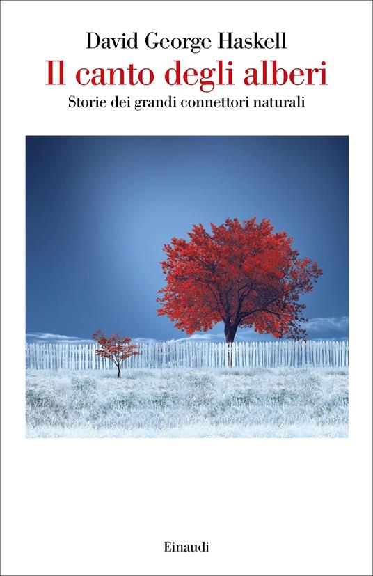 Il canto degli alberi. Storie di grandi connettori naturali - David George Haskell,Chiara Stangalino - ebook