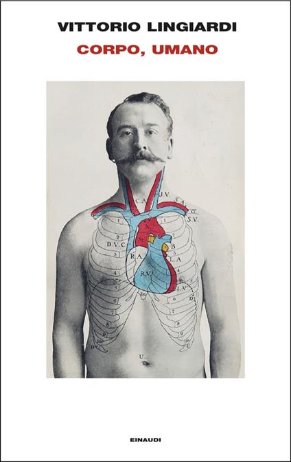 Corpo, umano - Vittorio Lingiardi - ebook